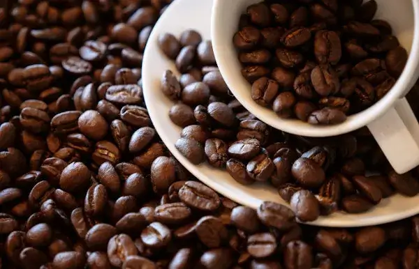 Como a Cafeína Poderá te Auxiliar no Processo de Emagrecimento